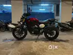 Triumph Scrambler 400 X - 2024 Model