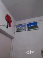 Room on rent only for single male student.