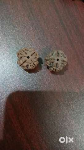 4mukhi nepali rudraksha