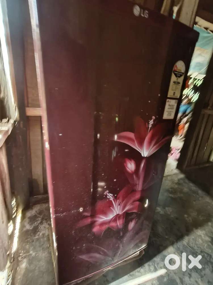 LG single door inverter compressor