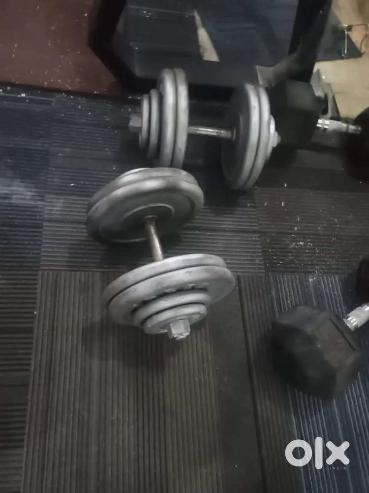 Dumbbell in full iron