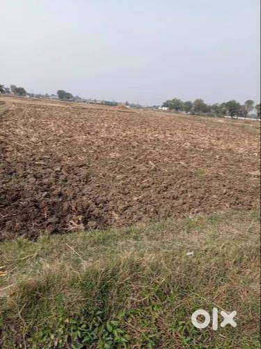 खुटवासा गांव में बेचना है 1 एकड़ जमीन खेती के लिए बेचना है