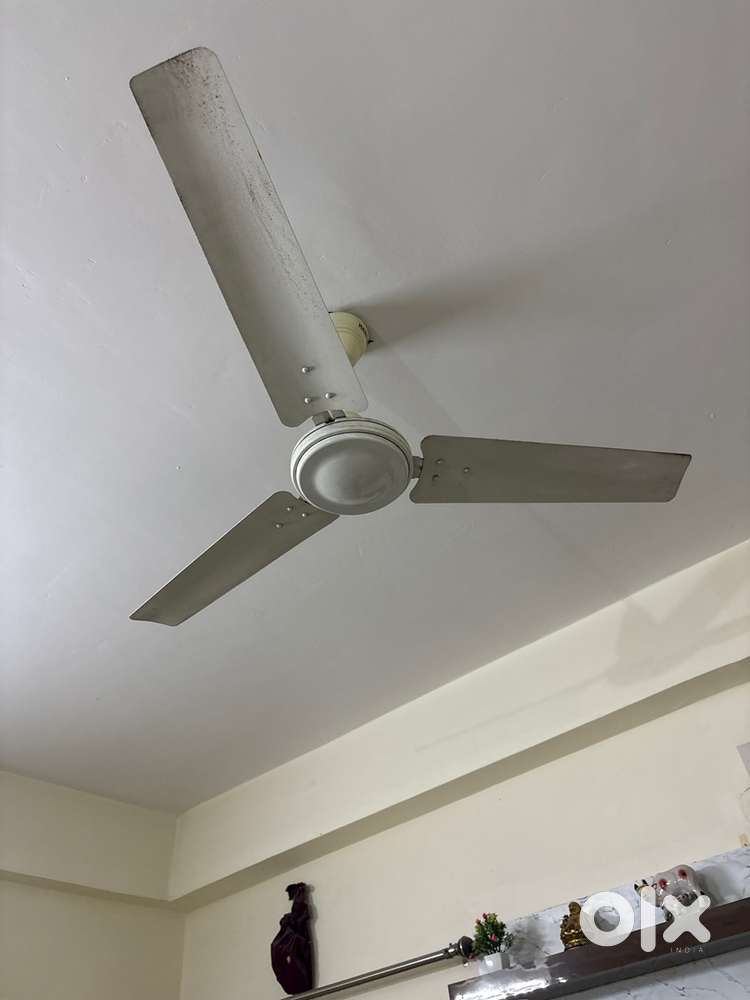 2 celling fans