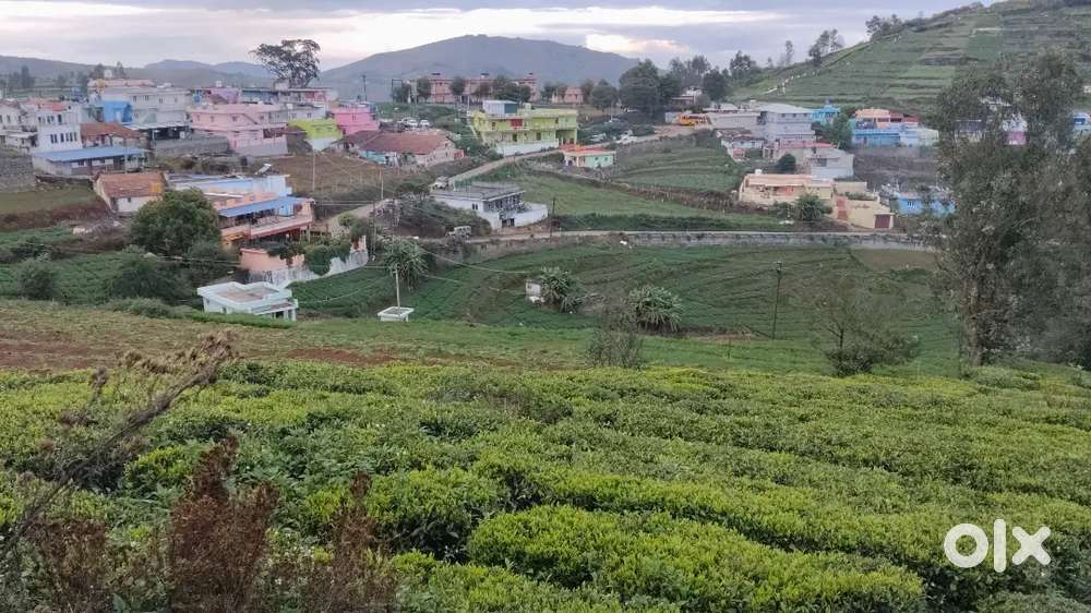 Rs. 45/- lakhs, 15 cents,