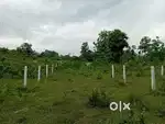 SR PURAM PLOT FOR SALE PANCHAYAT APPROVED VISAKHAPATNAM