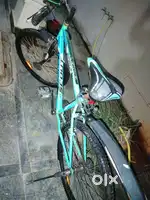 Leader Classic Cycle