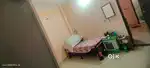 1 room rent for only girl in Alpha 2