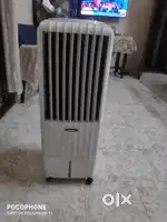 Symphony cooler