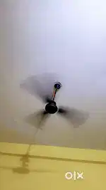 1 RK Room neat and Clean