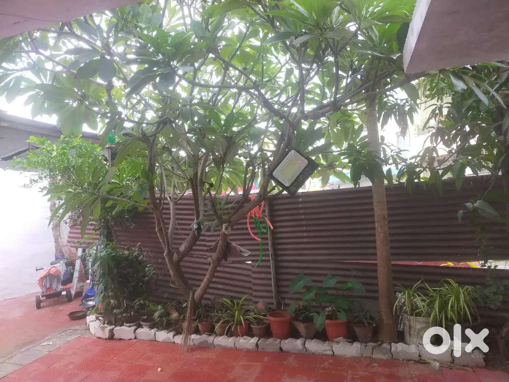 Room for girls or working women or couple family