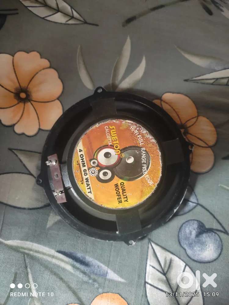 A woofer in 4 years old running product sweton calcutta woofer a sound