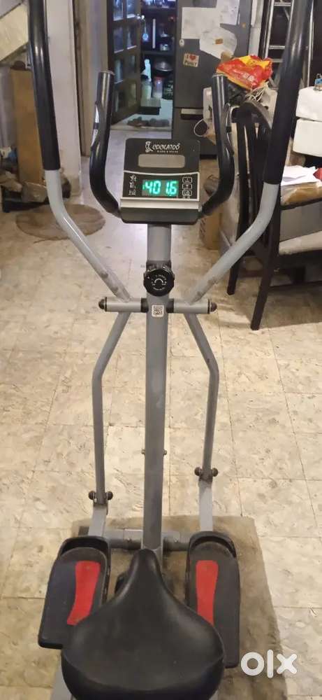 Cockatoo Eliptical Cross Trainer