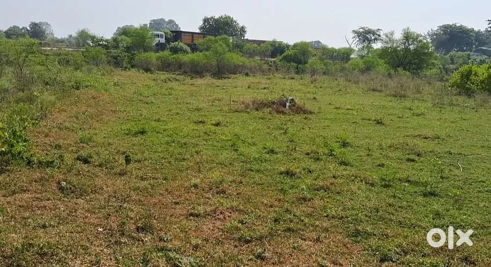 Plot located in near bhajju's purwa
