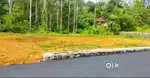 Residential plot 5.55 cents in maneed village near mulamthututhy