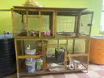 Dog/birds cage for sale 6x3x3 size