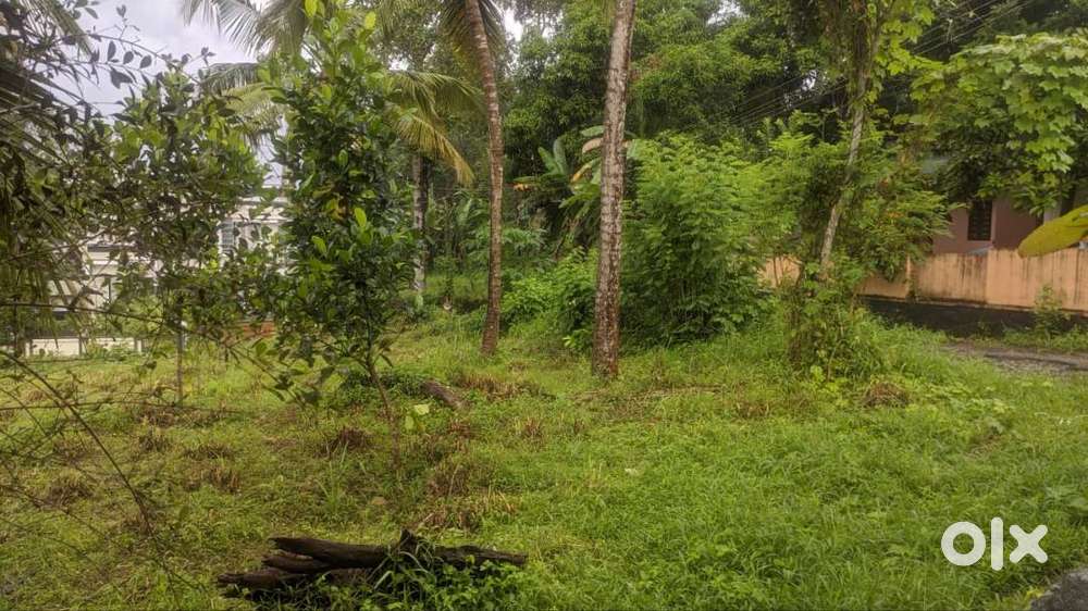 20 cent  house plot for sale