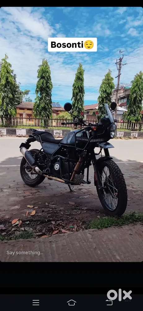 Himalayan sleet black