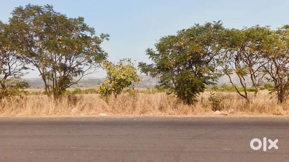 Residential plus commercial plots