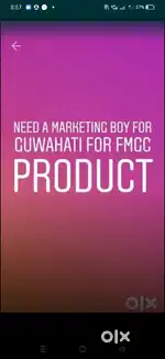 Sales executive cum delivery boy