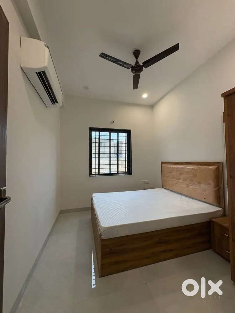 Looking for girls roommate (boys not allowed)