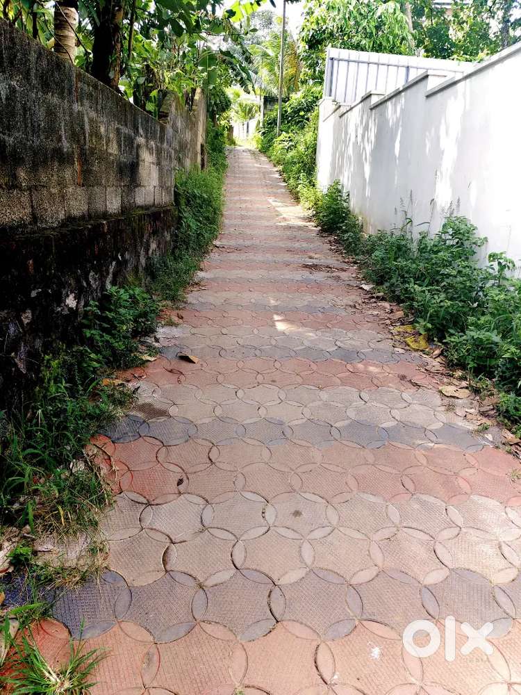 10 cent square plot at studio Road