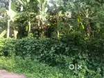 6.75cent plot for sale