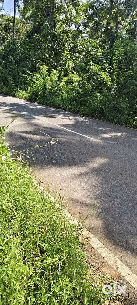 1.39 acre land with 1800 sqft house