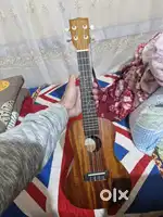 Kala KA-MK-C Makala Concert Ukulele