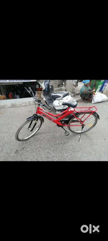 Dragon cycle bicycle