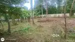 Plot for sale 9.800 cent irinjalakuda edakulam