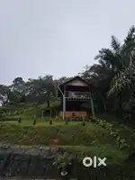 Running condition  Resort & Swimming pool Wayanad