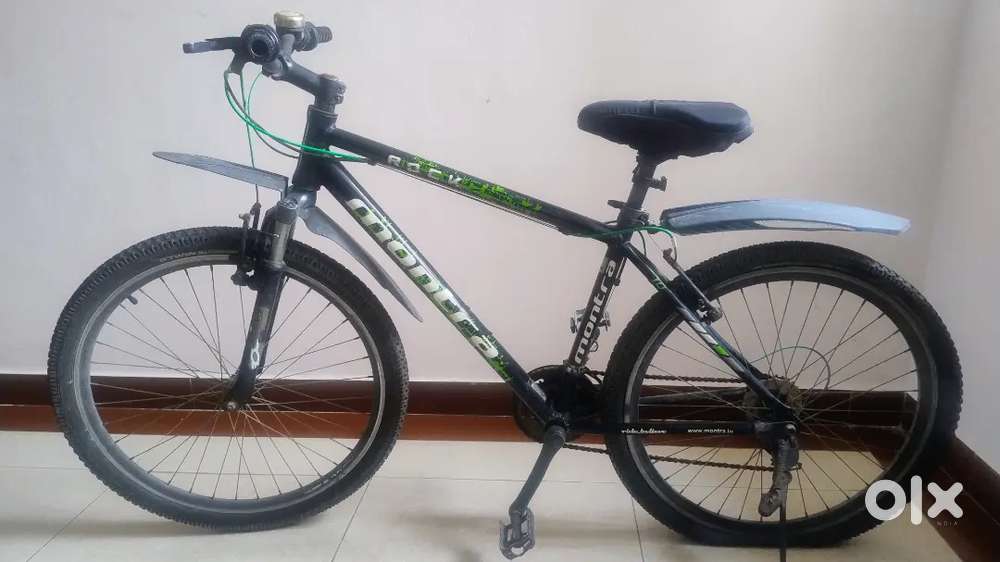 Rock 1.0 26 T (in) Mountain/Hardtail Cycle (21 Gear, black&green clr
