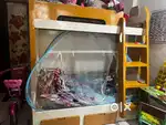 Bunker Bed Urgent moving out sale