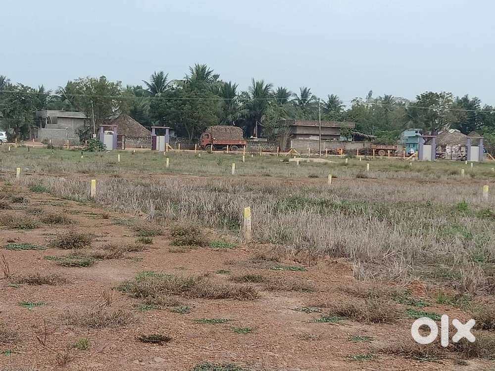 344 sq.yrds Residendial Plot for Sale at prakasaraopalem, Nallajerla,
