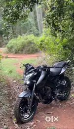 Bajaj Pulsar Ns 200