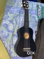 Ukelele musical instrument
