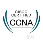 IT Training with Job Assistance