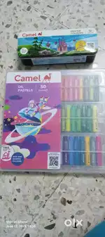 Camel Poster Colours and Oil Pastels