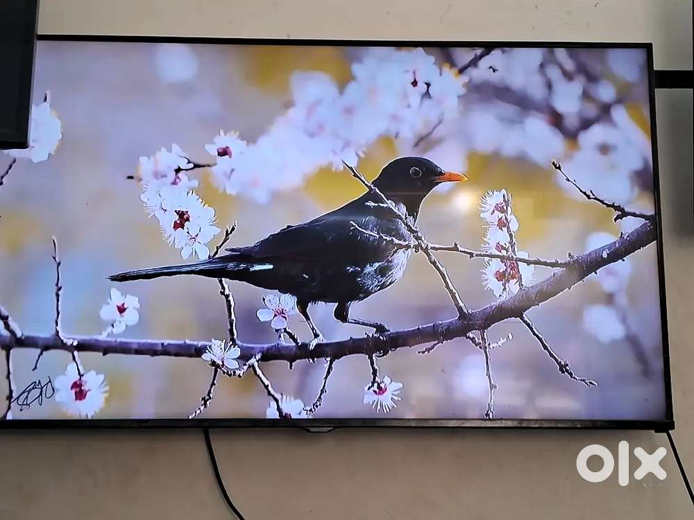 Samsung 48 inches led mild one line in display other is good codition