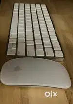 Apple keyboard and mouse