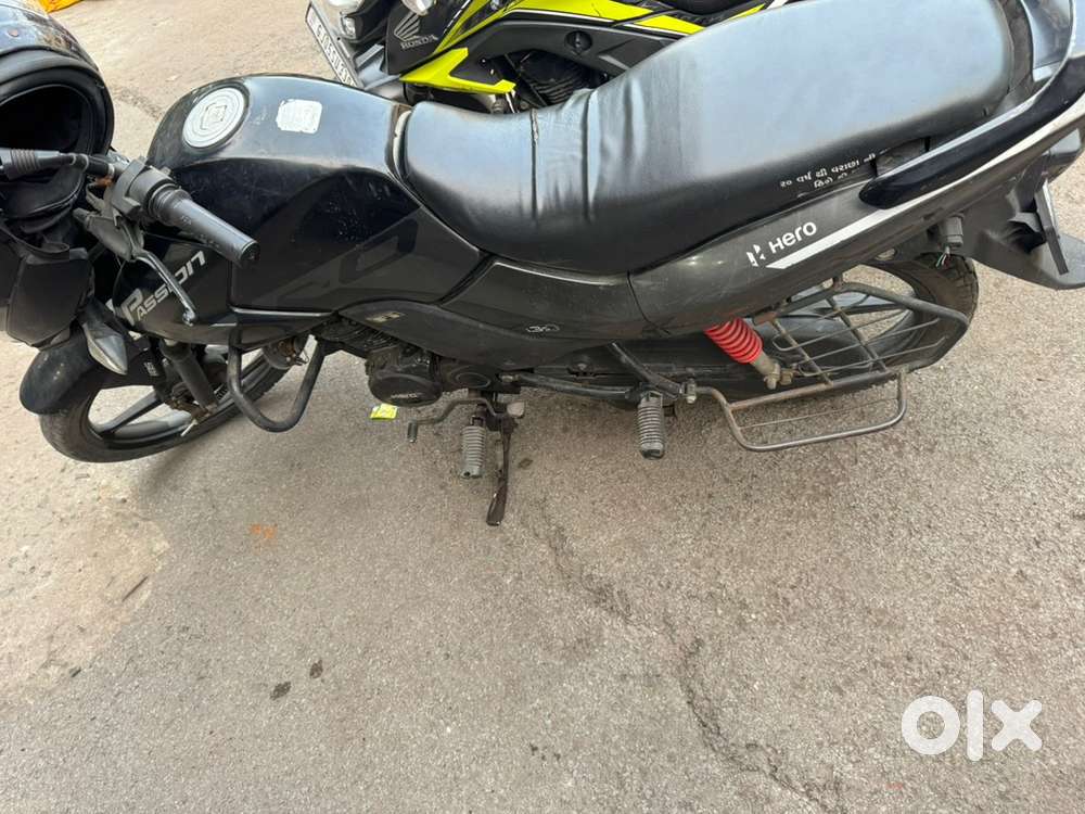 Passion pro 2021 model