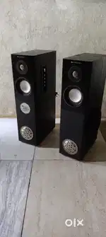 Zebronics music system