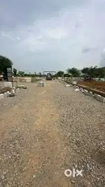 Maharana pratap road near by rangoli garden