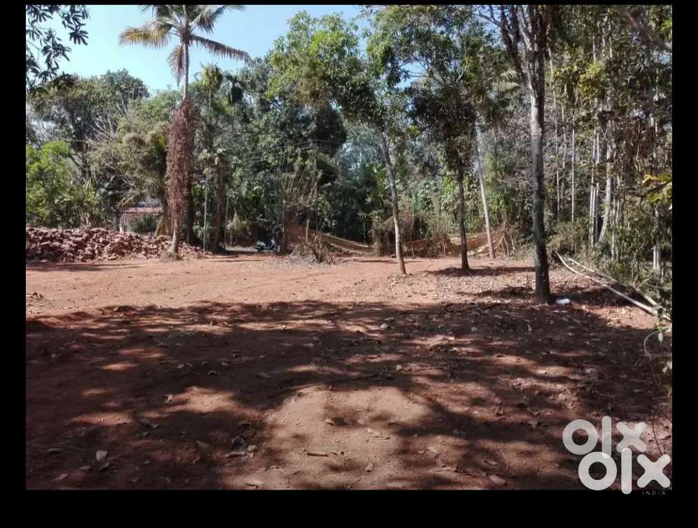 50 cent residential plot