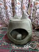 new Cat house