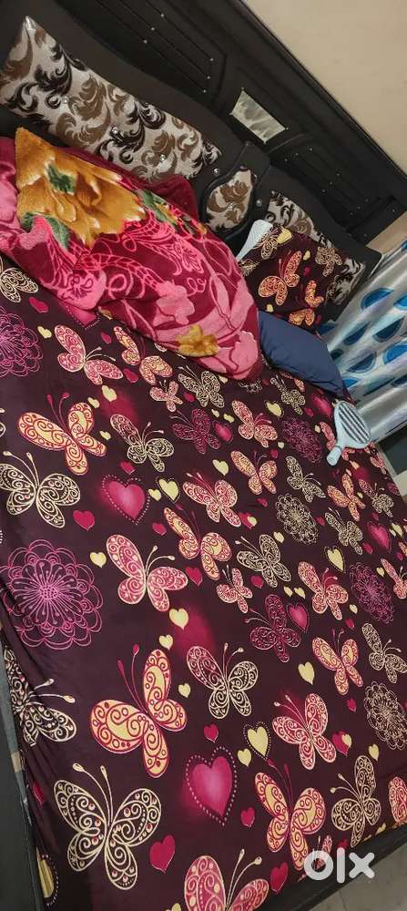 Shared room female  student and working women