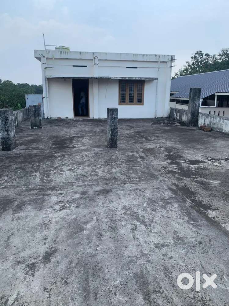 1bhk apartment available for rent