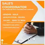 SALE'S COORDINATOR