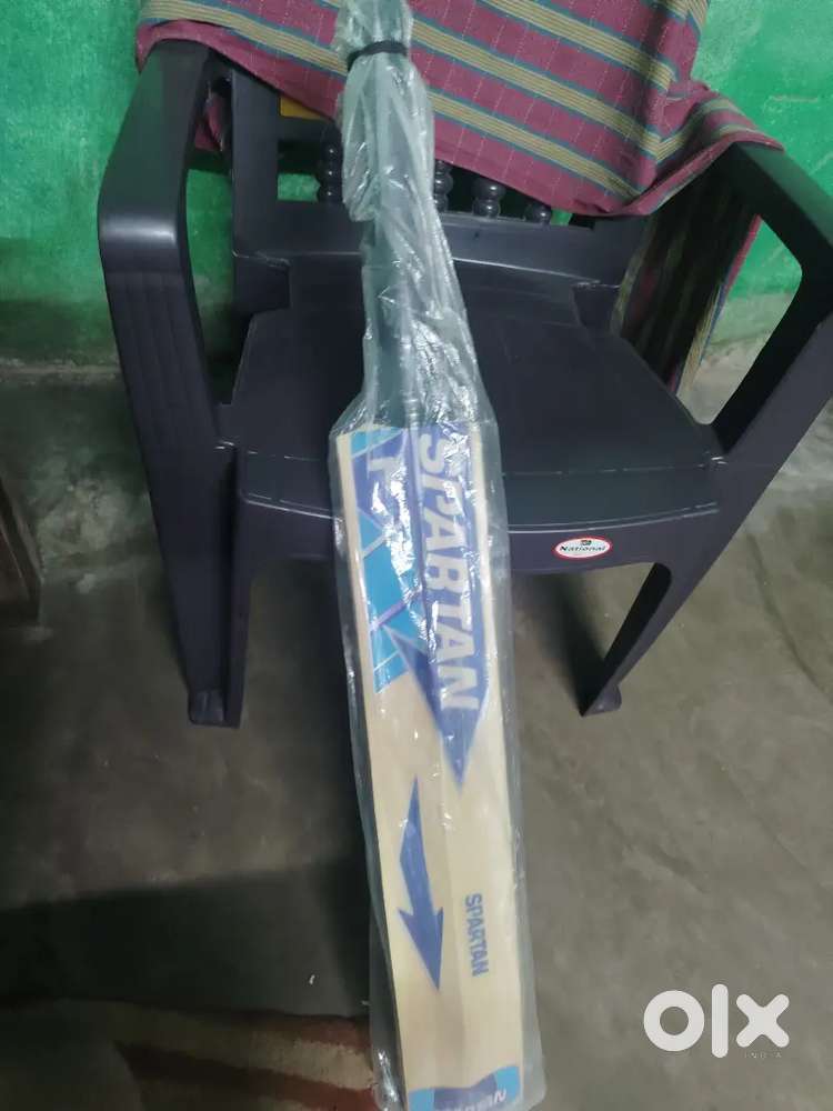 Cricket bat