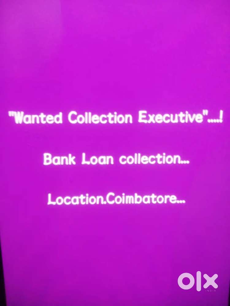 Collection Executive